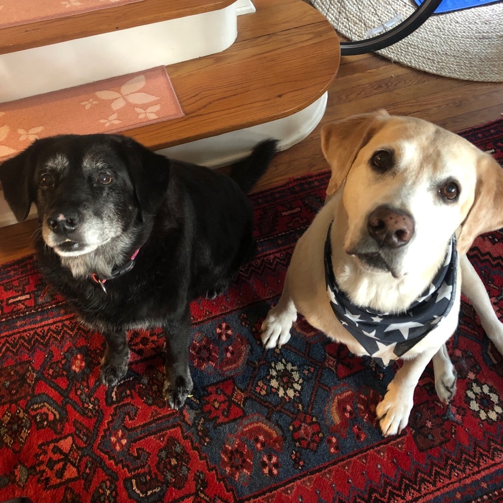 Meet your Posher, Katia